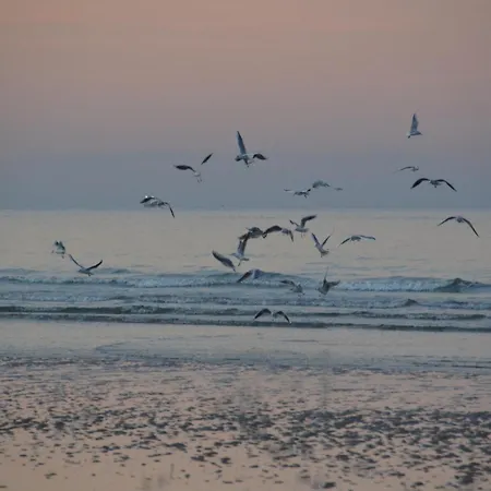 Cozy Normandy Escape Feriehus Aignerville