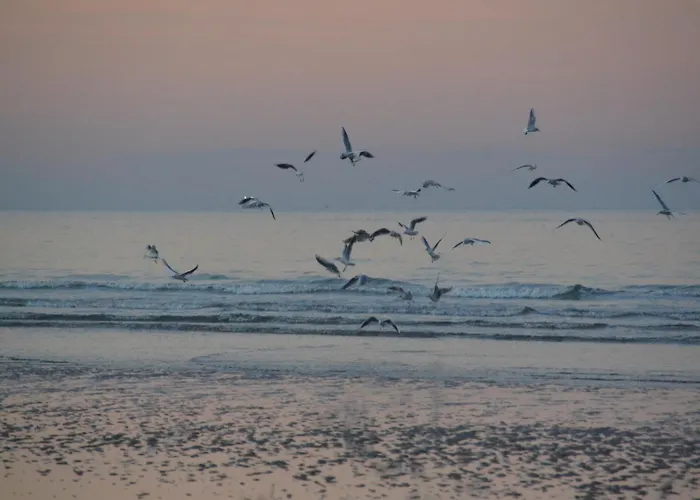 Cozy Normandy Escape Vakantiehuis Aignerville